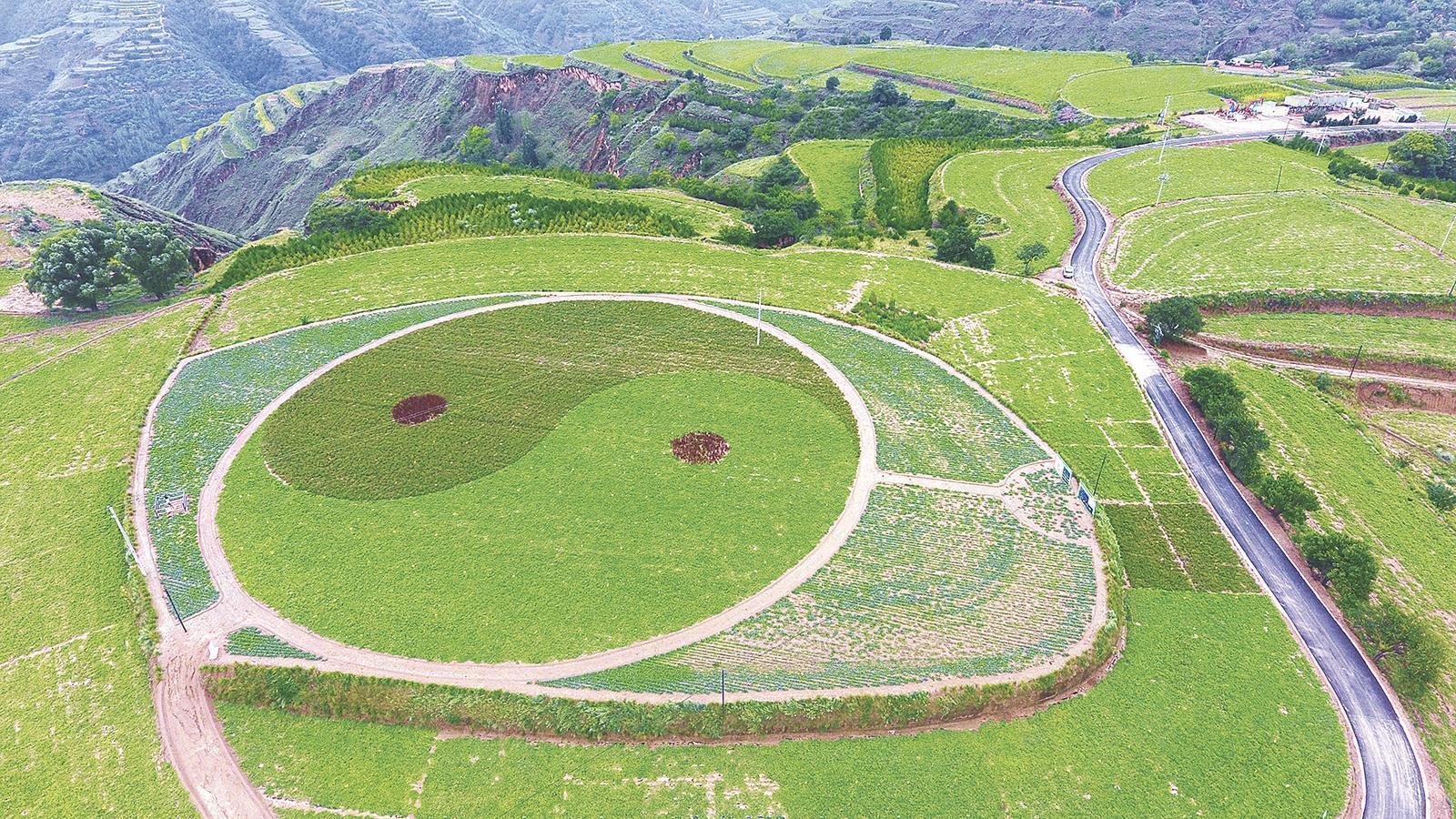 《隴東報》特刊·縣區(qū)觀察︱錨定高質(zhì)量 奮進新征程——華池縣“十四五”經(jīng)濟社會發(fā)展紀實