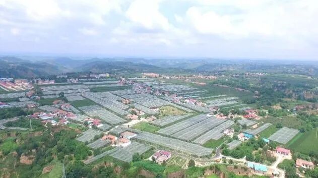 【“十四五”發(fā)展巡禮】合水縣店子鄉(xiāng)：產業(yè)提質民生改善 鄉(xiāng)村振興步履堅實