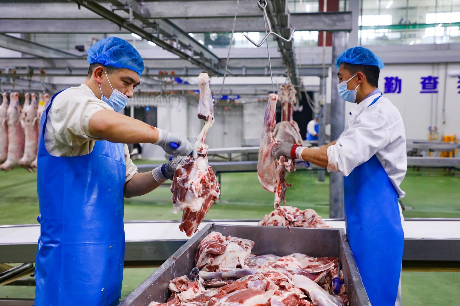 【攝影報道】環(huán)縣：羊肉加工產(chǎn)銷旺