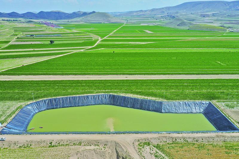 石明生：綠染山沙終不悔