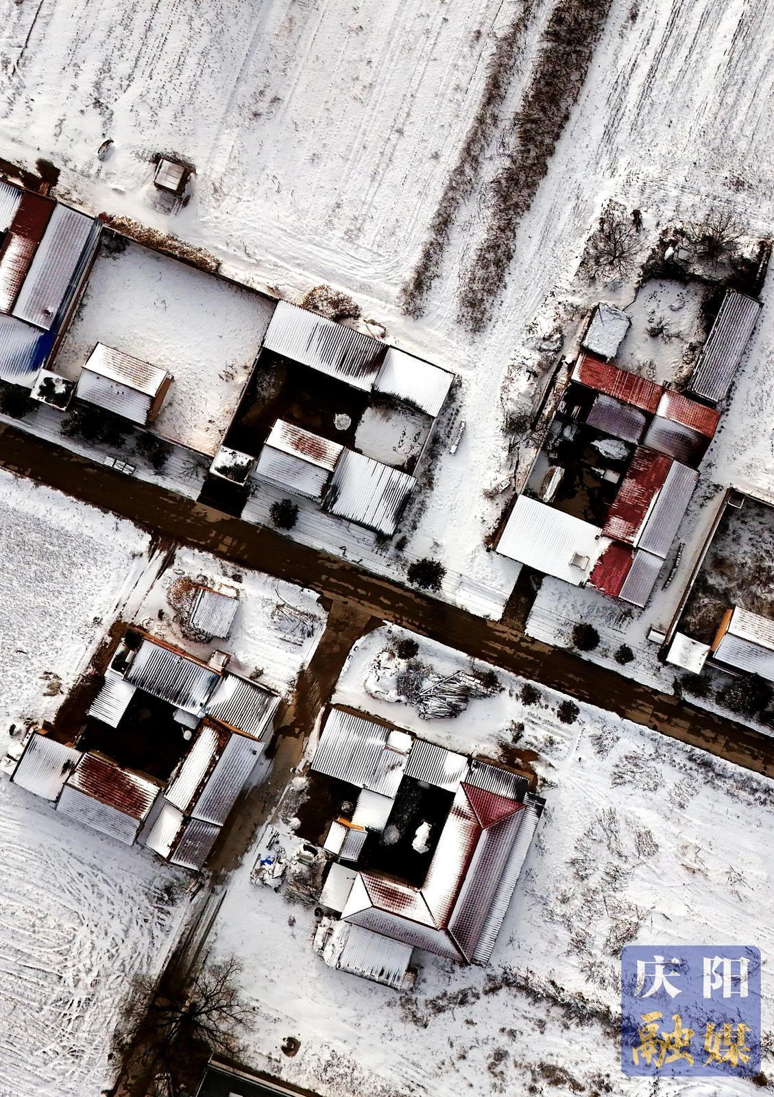 【大美慶陽】雪景如畫