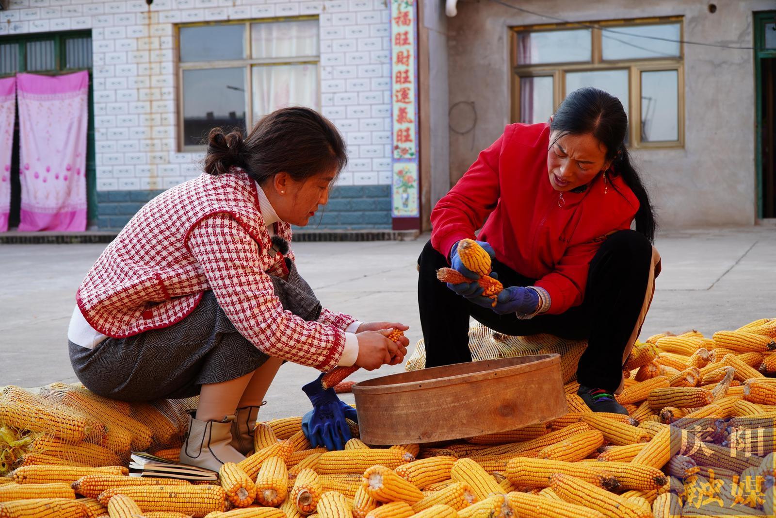 山丹丹花開紅艷艷——許改燕用愛守護(hù)風(fēng)雨飄搖的家