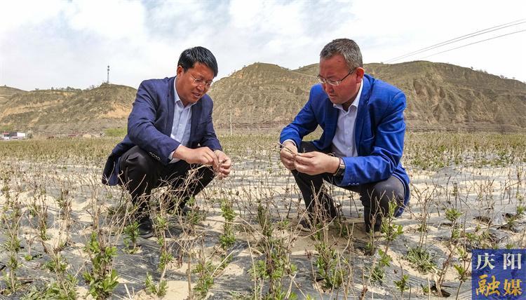 紅土鑄初心 藥業(yè)興民富——姚文智實(shí)干擔(dān)當(dāng)立潮頭