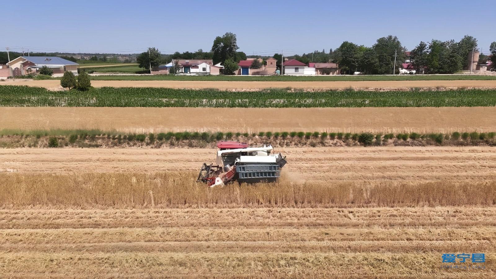 寧縣：糧安業(yè)興富民