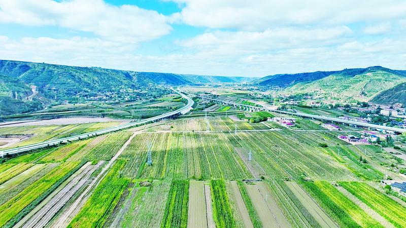 《隴東報(bào)》特刊·鄉(xiāng)村振興丨慶城縣：因地制宜做強(qiáng)鄉(xiāng)村特色產(chǎn)業(yè)