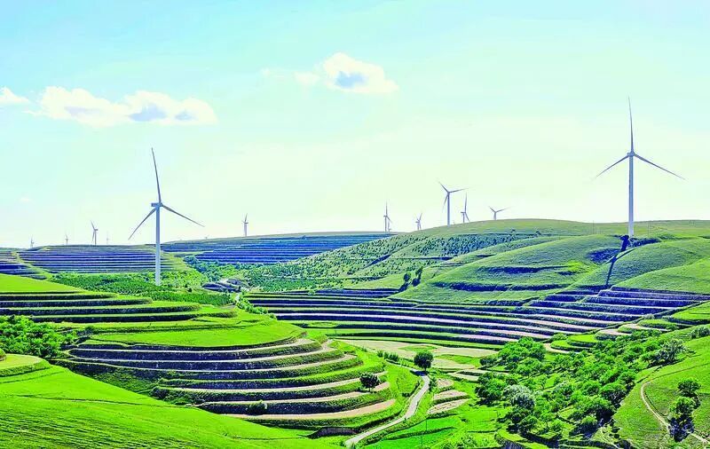 【慶陽·縣區(qū)觀察】一件羊肉緣何帶火一座小鎮(zhèn)？