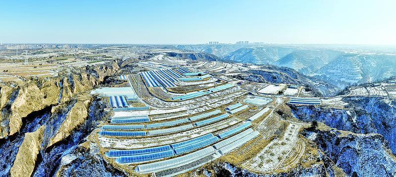 《隴東報(bào)》特刊·縣區(qū)觀察 | 冬閑人不閑 產(chǎn)業(yè)煥新顏 ——合水縣特色產(chǎn)業(yè)發(fā)展見聞