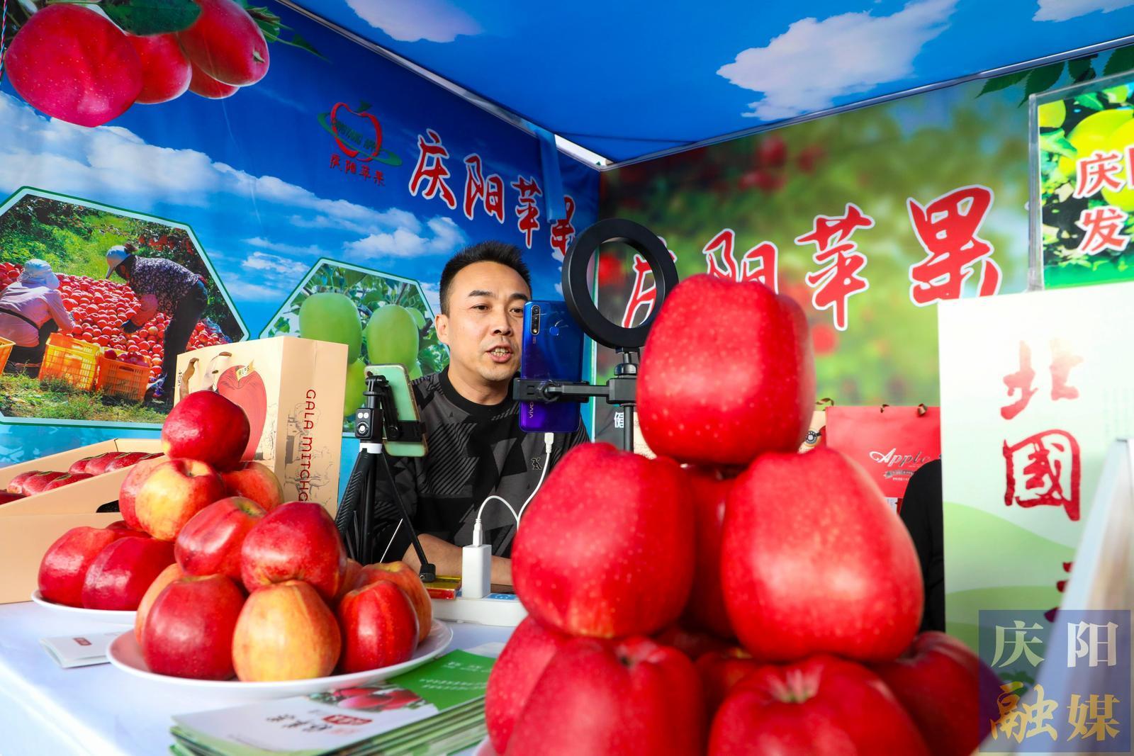 慶陽蘋果2025產(chǎn)季量銷價齊升 數(shù)據(jù)見證產(chǎn)業(yè)發(fā)展向新向好