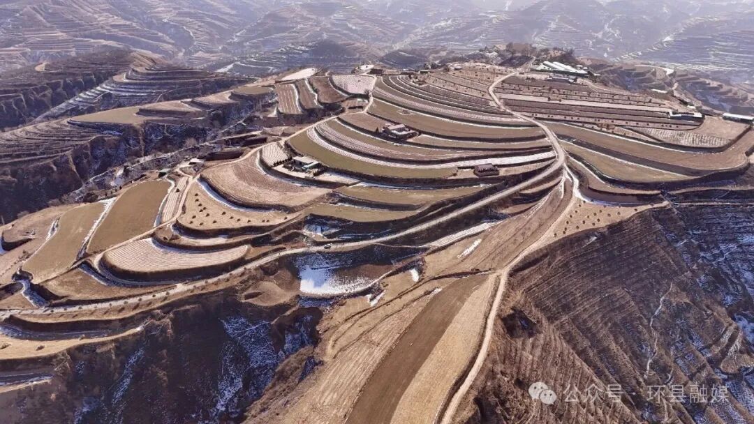 【“十四五”答卷】果豐羊壯暖冬塬——環(huán)縣曲子鎮(zhèn)樓房子村振興紀實