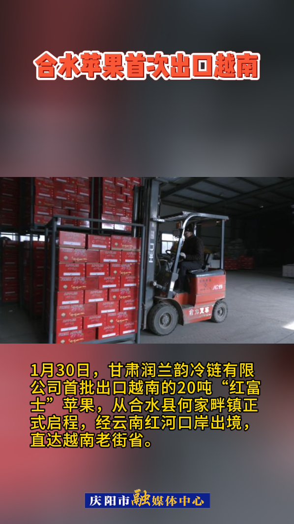 最新消息！合水蘋果首次出口越南