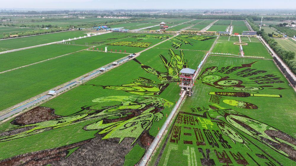 習(xí)近平總書(shū)記關(guān)切事｜幸福花開(kāi)新農(nóng)家