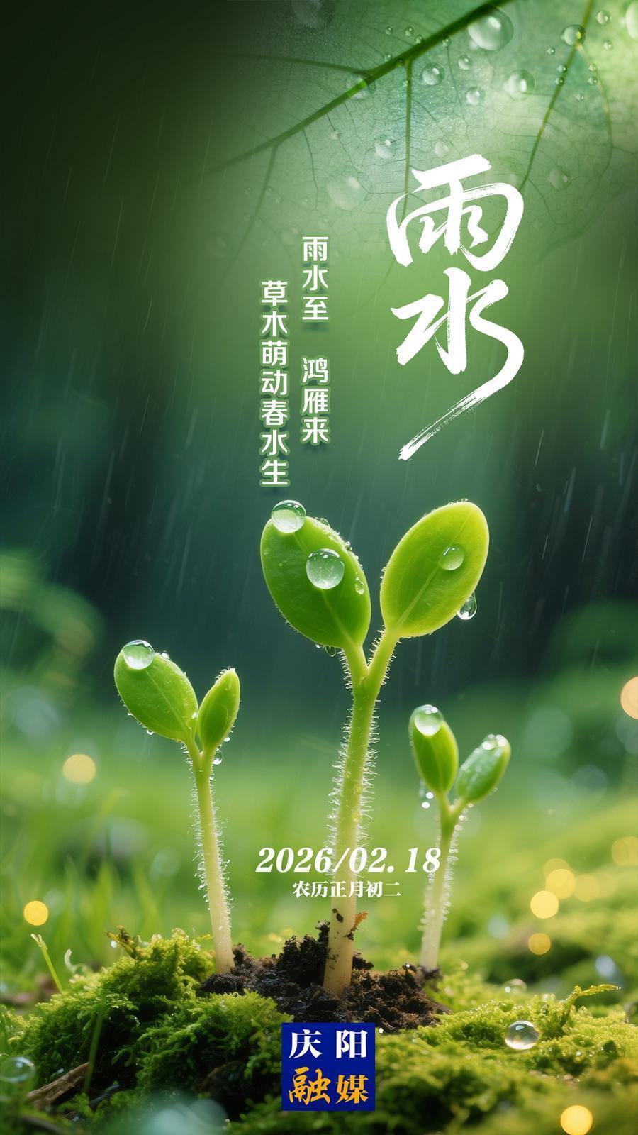【二十四節(jié)氣·雨水】微海報(bào)丨雨水至 鴻雁來(lái) 草木萌動(dòng)春水生