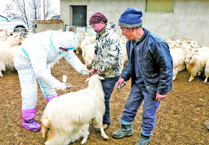 《隴東報(bào)》專版·鄉(xiāng)村振興 | 科技、黨建、工廠、產(chǎn)業(yè)齊發(fā)力，書寫慶陽鄉(xiāng)村振興新篇章！