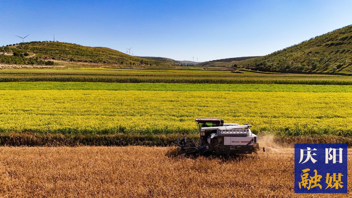 繪就鄉(xiāng)村振興新畫卷——慶陽市農(nóng)業(yè)農(nóng)村工作綜述