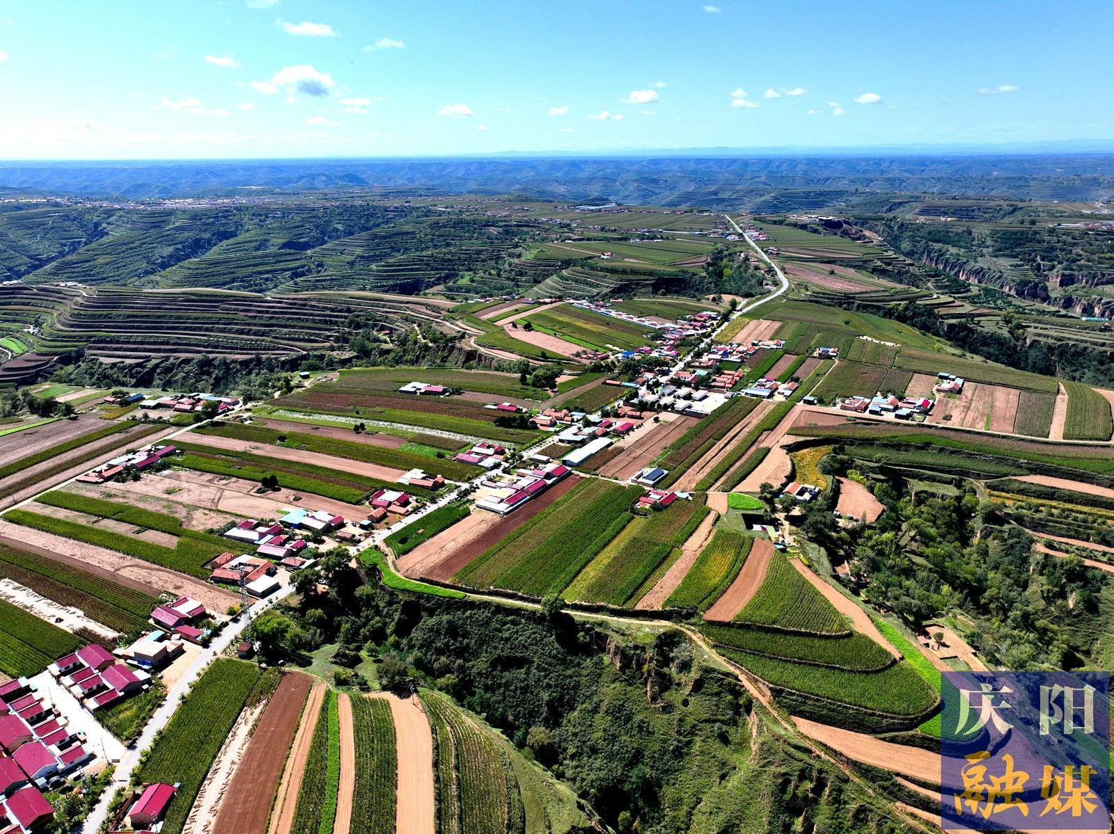 【回鄉(xiāng)偶記】我的唐家塬，變了模樣