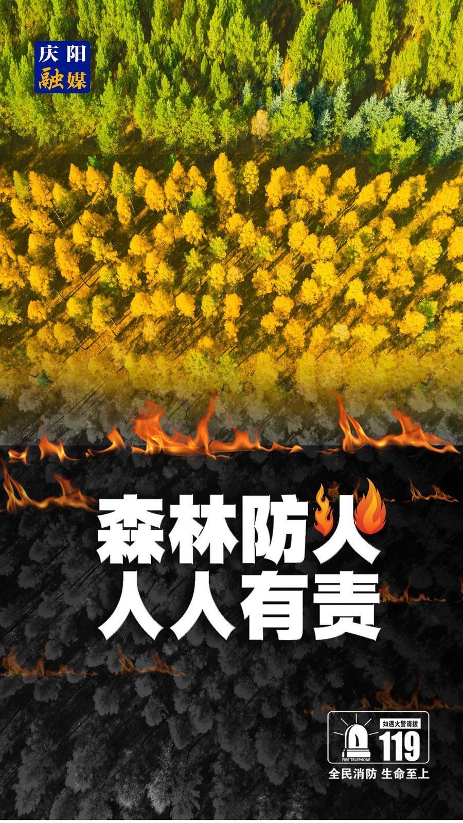 【微海報(bào)】森林防火 人人有責(zé)