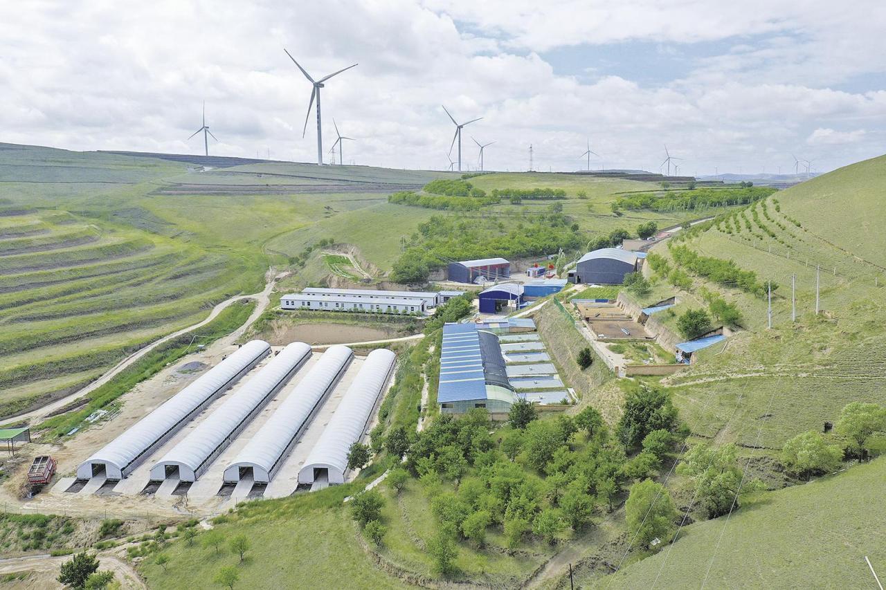 《隴東報(bào)》特刊·鄉(xiāng)村振興︱慶陽(yáng)：沃野生金 鄉(xiāng)村向“新”